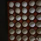 بيض بلدي ممتاز للبيع السعر 18