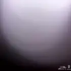 مطلوب هايلكس 79 80