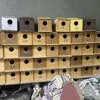 50 بياضه طيور   تنفع للجاوه والروز والفشر والزيبرا