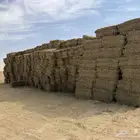 برسم صافي عدد 4950 بلكه