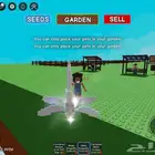 دراقون فلاي