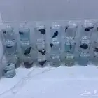 وصلت دفعه جديده من سمك فايتر بسعر الجمله