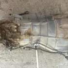 قير نفارا 2010