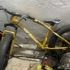 cycle for sale