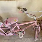 سيكل الوردي وسيكل رصاصي