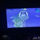 شاشه جميله صغيره للقيمنق 75هرتز السوم وصل 200