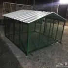 شبك طيور