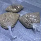 اسلام عليكم ورحمة الله وركاته عندي ثنين زيبرا نضيفين جدااا