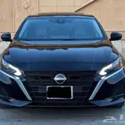 التيماء 2024 نص فل