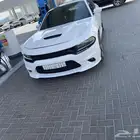 دوج للبيع