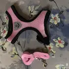 حزام قطط و كلاب