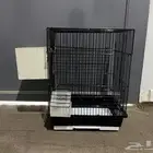 شبكات الطيور