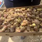 شيشي درجه أولى كراتين 6 كيلو على الطلب تاخذه للثلاجه