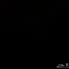الي عنده قط لتبني يراسلني شرط ان يكون قط صغير