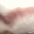 مكينه شاص 4800