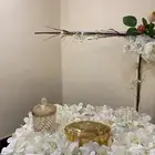 استاند