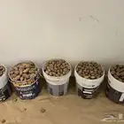 بطاط عربي