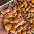 تمر سكري مفتل فاااخر
