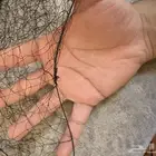 شبك حرير و نايلون
