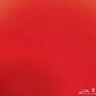 ابحث عن شقة في حي الحمرا جده.بسعر اقل من 1000
