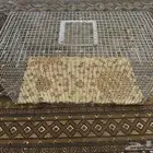 شبك دجاج كبير باقي جديد