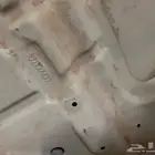 كبوت شاص وكاله