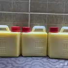 سمن بقر خالص