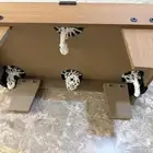 للبيع بلونق استعمل يوم وحد