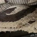 يوجد فرشات موكيت بمقاسات مختلفه شبه جديده
