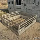 شد عزبه لونين اسيزو