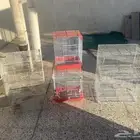 شبوك طيور للبيع