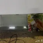 قزاز محل خارجي