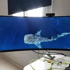 شاشة قيمنق 144Hz الترا وايد من شركة لونوفو 1440P حجم 34