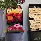 مصورة كوفيهات ومنتجات