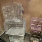 اقفاص طيور