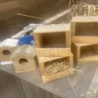 سبعة بيضات الطيور الصغيرة