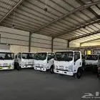 ايسوزو دينا 2014