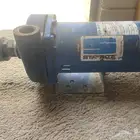 دينمو سمنان أمريكي