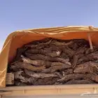 بخور شتاء جمر