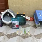 مستلزمات قط للبيع