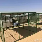 شبوك دجاج وحمام