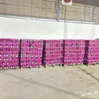 ملح الهملاياء