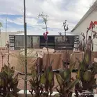 بيت شعر المطور