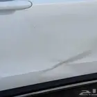 هافال