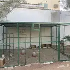 شبك دجاج بط حمام ارانب