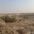 هدى الشام والشامية خدمات زراعية