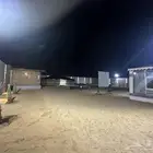 مخيم سن رايز الطائف الواصليه