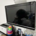 للبيع شاشتين