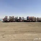 لوابد متواجده جده
