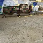 تهامه شهران